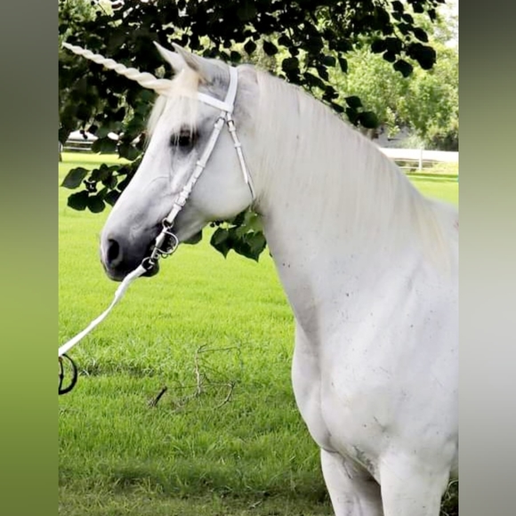 Meet your Posher, Shannon - Picture 2 of 2